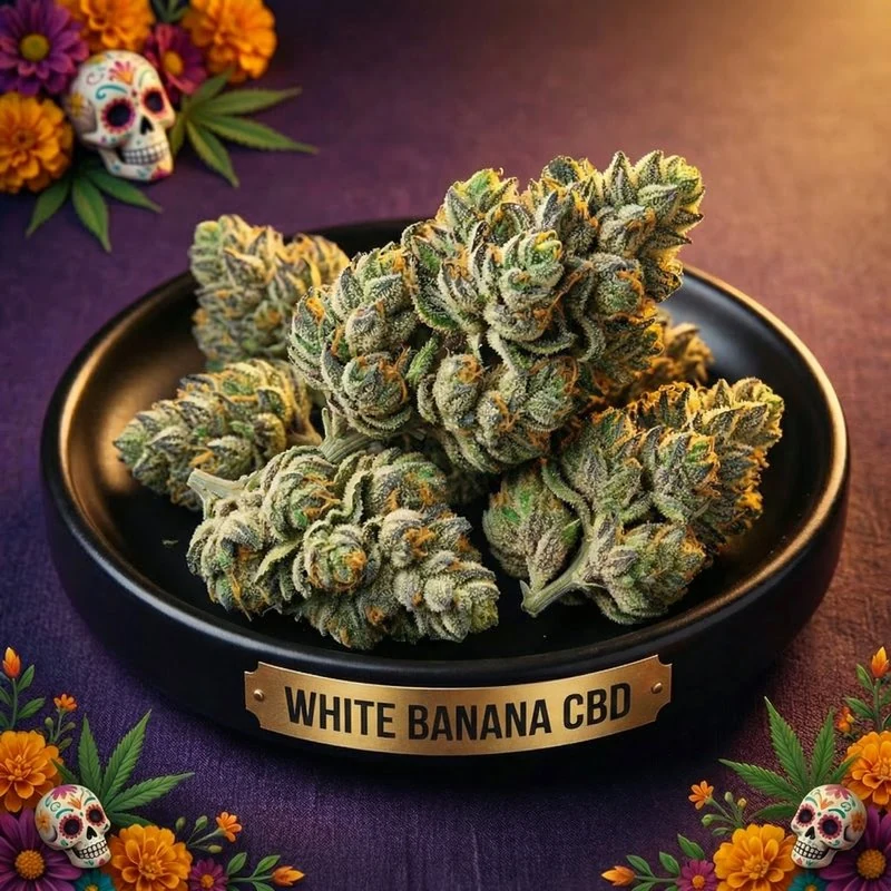 White Banana CBG - fleur CBG premium, sachet 12 g | CBD CASA