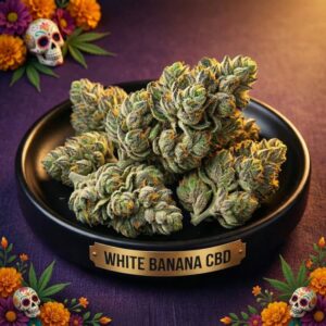 White Banana CBG